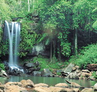 Tamborine National Park - C Tourism