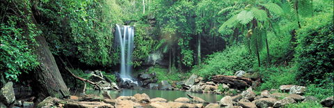 Tamborine National Park - C Tourism 0