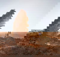 The Living Desert and Sculptures - C Tourism