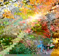 The Blue Mountains Botanic Garden Mount Tomah - C Tourism