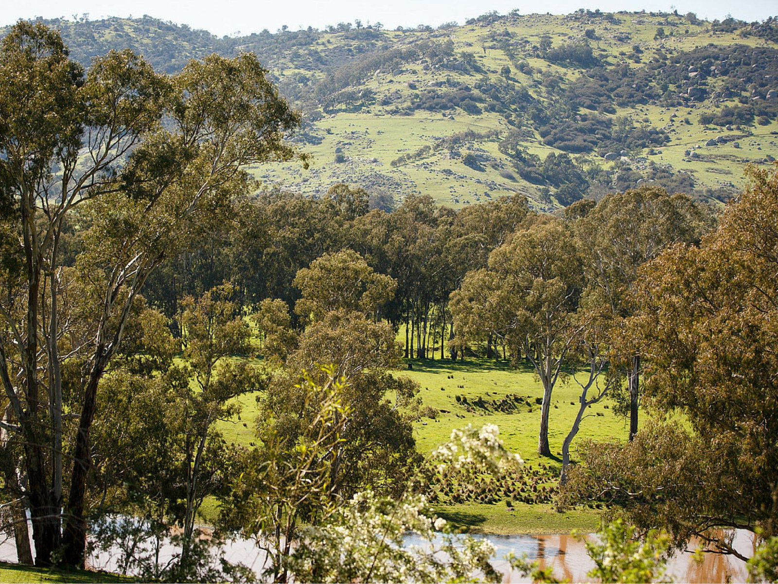 Trawool VIC C Tourism