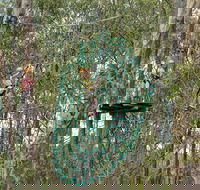 TreeTops Newcastle - C Tourism