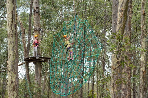 TreeTops Newcastle - C Tourism 0