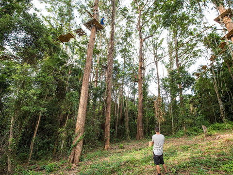 TreeTop Challenge - Sunshine Coast - C Tourism 1