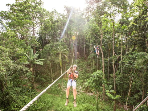 TreeTop Challenge - Sunshine Coast - C Tourism 2