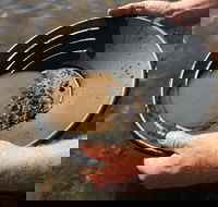 Tuena Panning for Gold - C Tourism