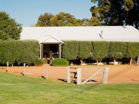 Vasse Virgin - C Tourism 1