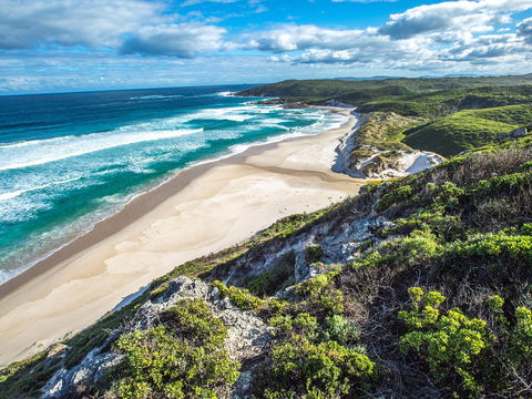 Walpole - C Tourism 0