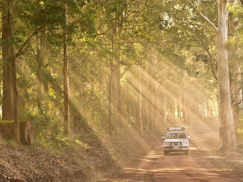 Walpole - C Tourism 1