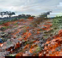 Western Ridge Walk - C Tourism