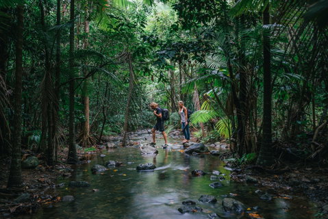 Wet Tropics Rainforest - C Tourism 2