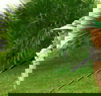 Whitsunday Green Club Golf - C Tourism