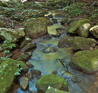 Whian Whian State Conservation Area - C Tourism