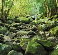 Wodi Wodi Walking Track - C Tourism