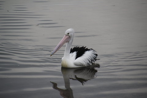 Woolley's Beach Walk - C Tourism 1