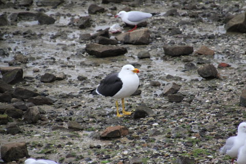 Woolley's Beach Walk - C Tourism 2