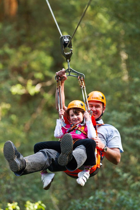 Zipline At Illawarra Fly - C Tourism 0