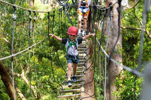 Zipline At Illawarra Fly - C Tourism 1