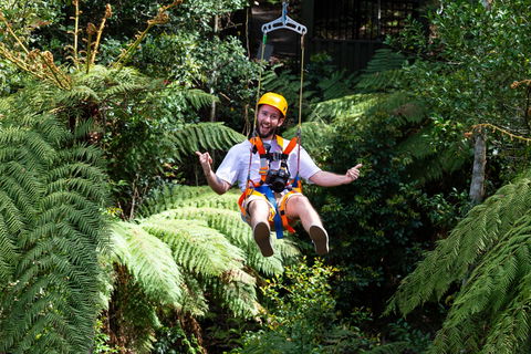 Zipline At Illawarra Fly - C Tourism 2