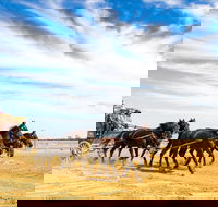 7 Day Outback Giants - C Tourism