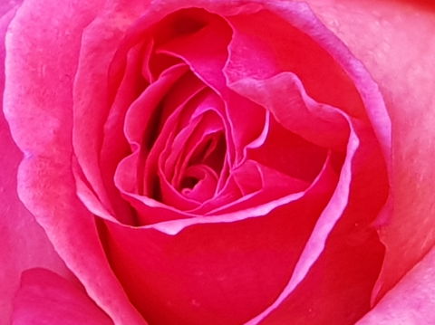 Abandon Stress Mobile Massage - C Tourism 0