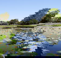 Anderson Park Botanic Gardens - C Tourism