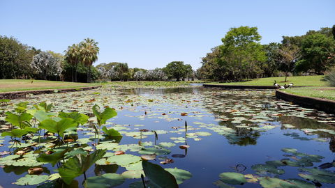 Anderson Park Botanic Gardens - C Tourism 0