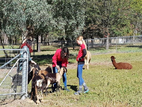 Animal Farm Visit - C Tourism 1