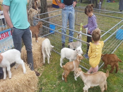 Animal Farm Visit - C Tourism 2