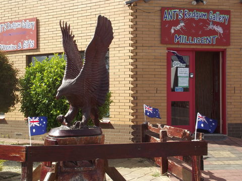 Ant's Redgum Gallery - C Tourism 0