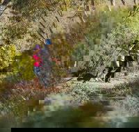 Australian Arid Lands Botanic Garden - C Tourism