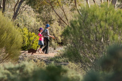 Australian Arid Lands Botanic Garden - C Tourism 0