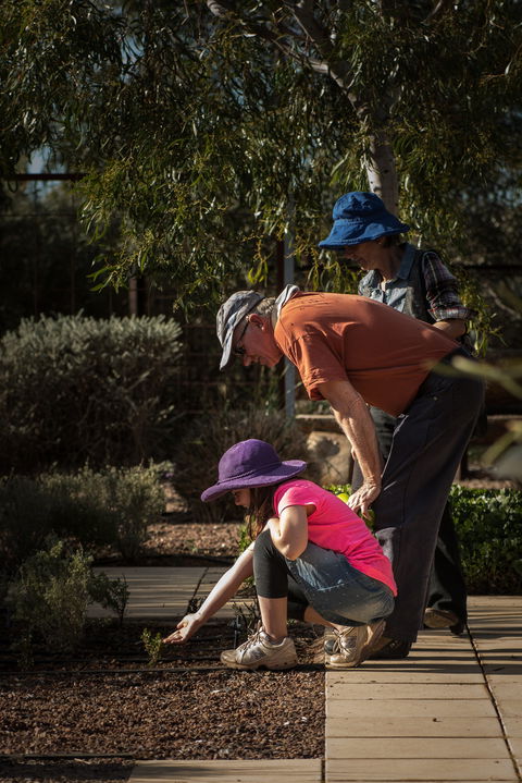 Australian Arid Lands Botanic Garden - C Tourism 1