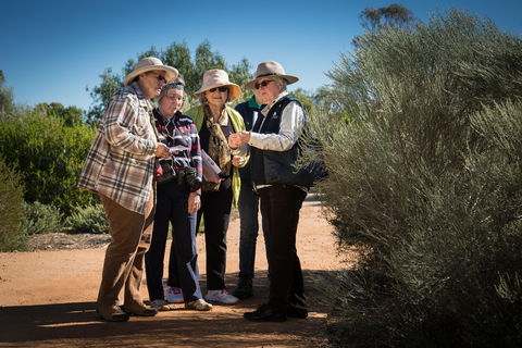 Australian Arid Lands Botanic Garden - C Tourism 2