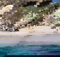 Australian Sea Lions - C Tourism