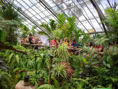 Australian Butterfly Sanctuary - C Tourism 2