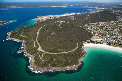 Avenue Of Honour - C Tourism 0