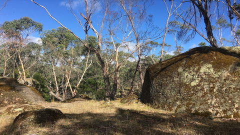 Bailey's Rocks - Dergholm State Park - C Tourism 0