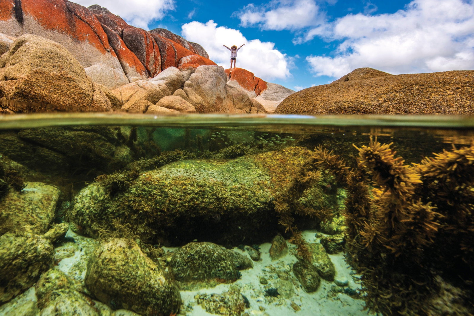 Binalong Bay TAS C Tourism