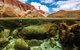 Bay Of Fires - thumb 0