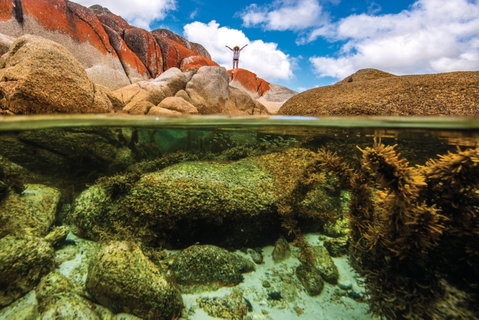 Bay Of Fires - C Tourism 0