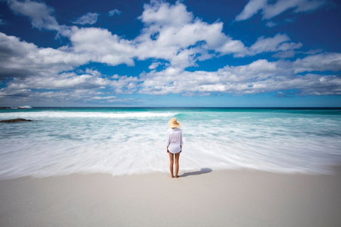 Bay Of Fires - C Tourism 1