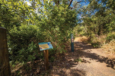 Bluff Point Circuit, Capricorn Coast National Park - C Tourism 1