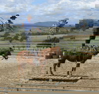 Boggy Creek Show - C Tourism