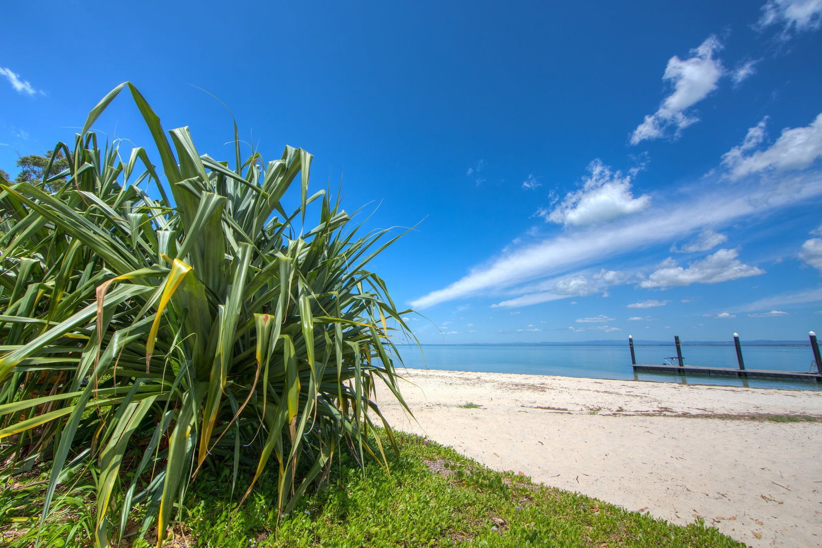 Bongaree QLD C Tourism