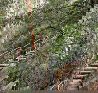 Caleys Lookout Track - C Tourism