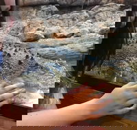 Canberra Reptile Zoo - C Tourism
