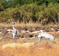 Cape Keraudren Nature Reserve - C Tourism