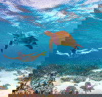 Coral Bay - C Tourism