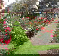 Cowra Rose Garden - C Tourism